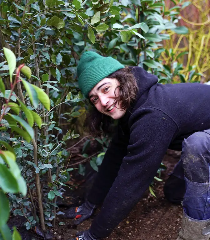 Green Concept Paysagiste Linselles