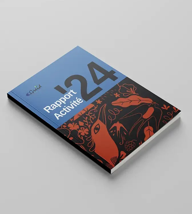 Rapport activité Greid Valenciennes 2024
